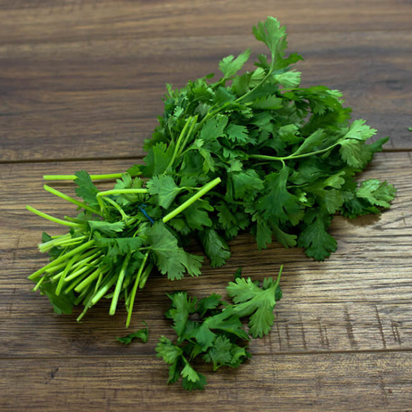 Coriander - Kerry’s Fresh